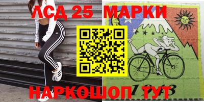 стаф Славгород