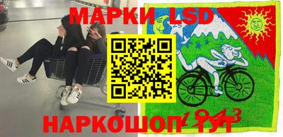 стаф Славгород