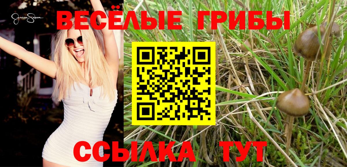 Псилоцибиновые грибы Psilocybine cubensis  Галлюциногенные грибы Cubensis  Набережные Челны  даркнет сайт  Вход с VPN 